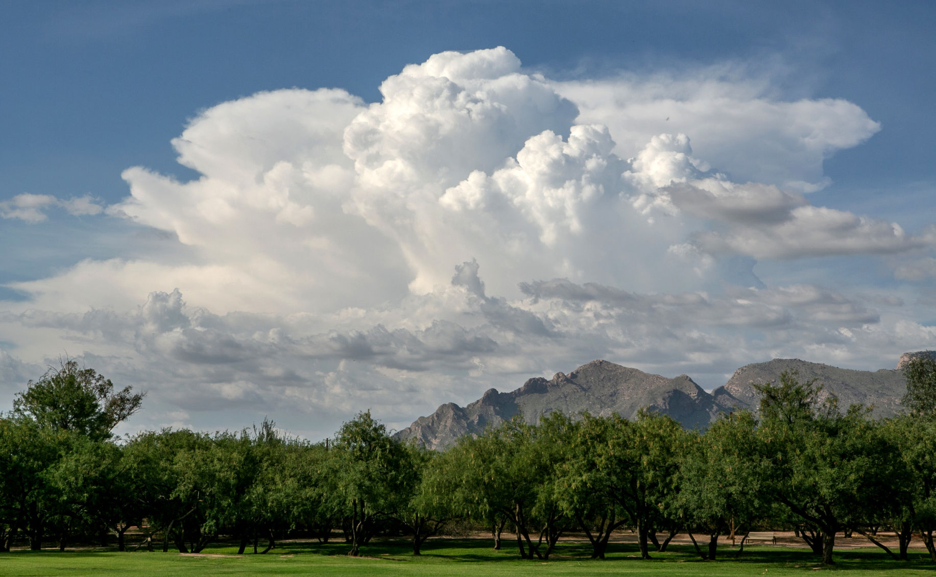 Monsoon 2018